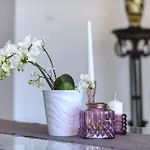 Lorelai دوبروفينك
